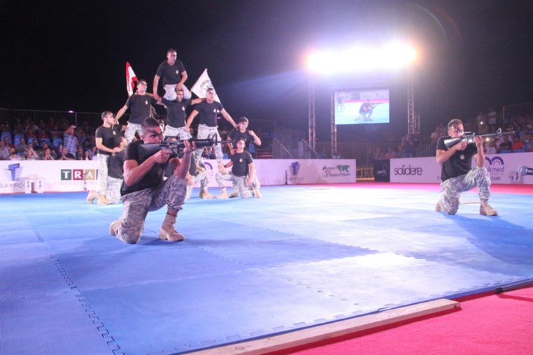 Martial Arts Festival